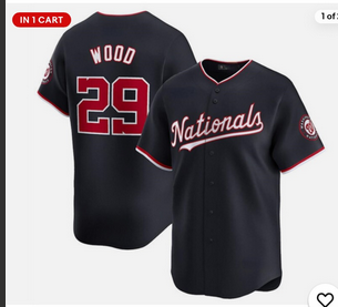 Men Washington Nationals #29 James Wood Nike blue Nike Limited jersey